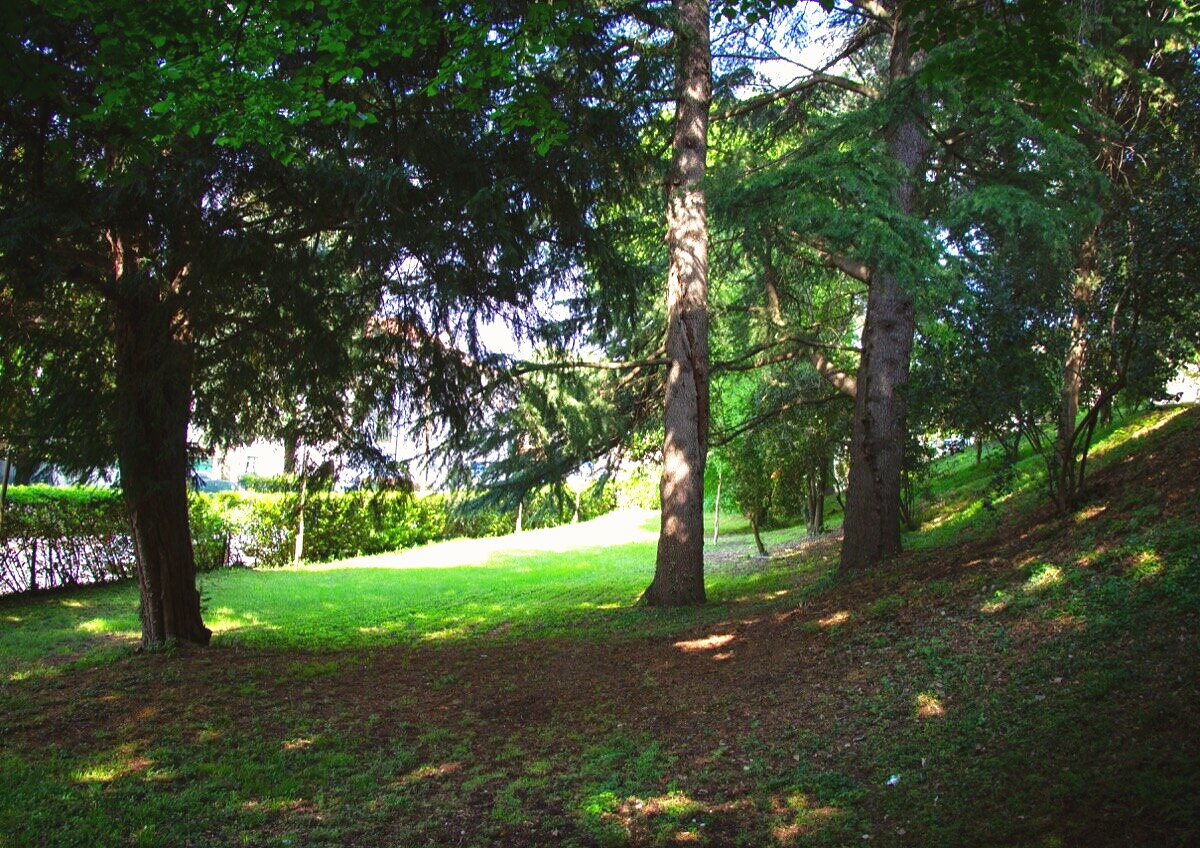 Parco ombreggiato di Villa Giolai con alberi secolari e prato al sole