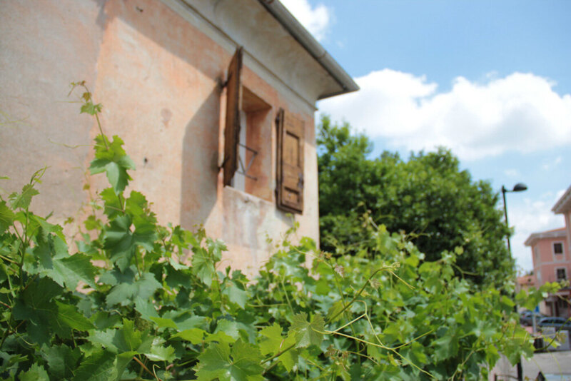 Alla Vigna