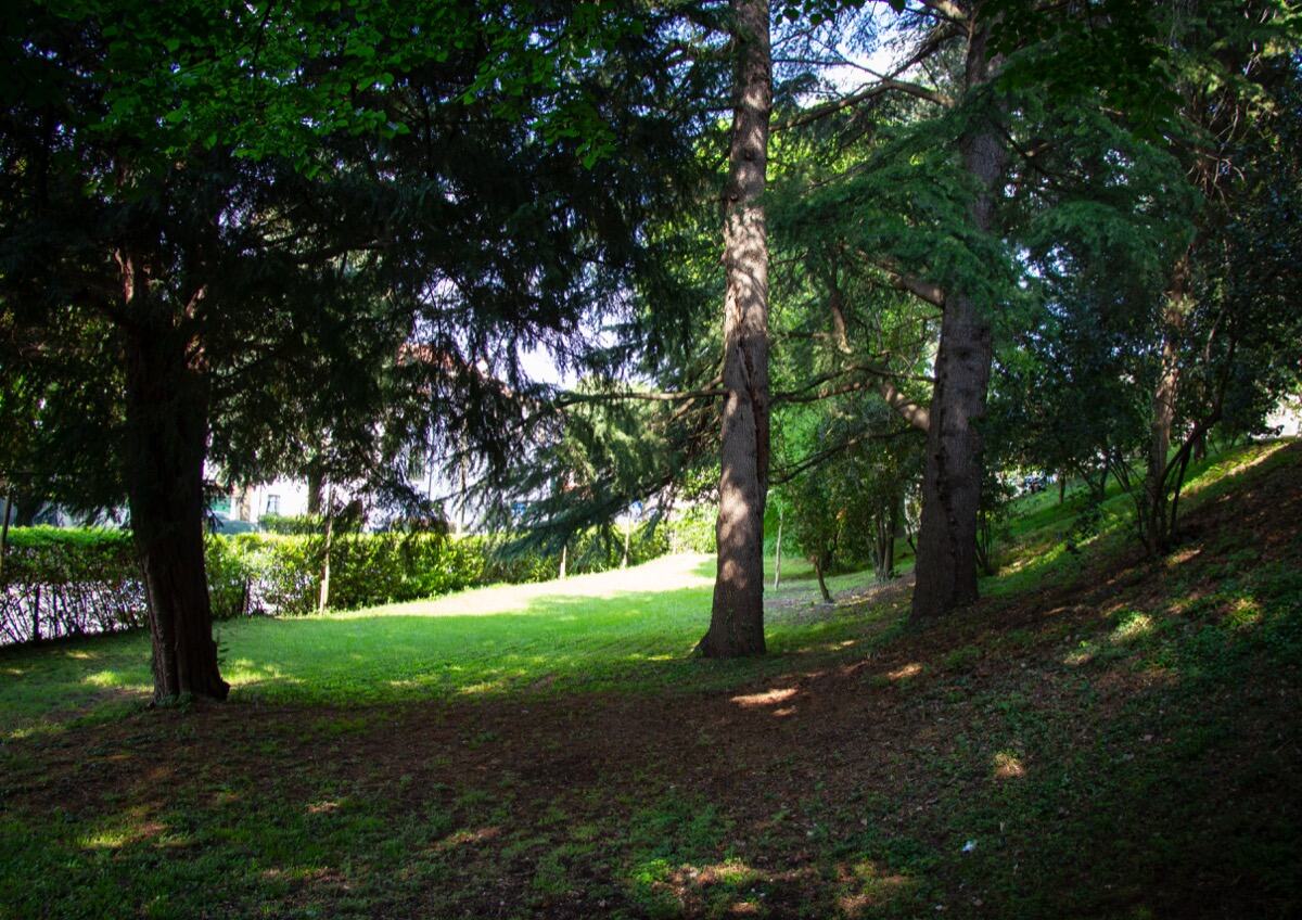 Parco secolare