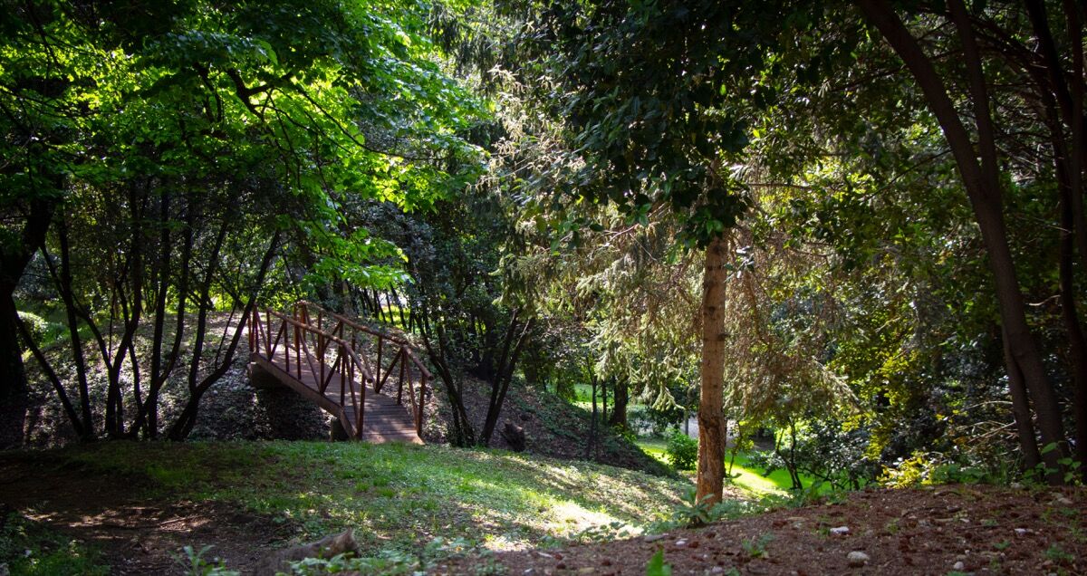 Ponticello nel parco